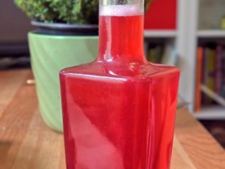 Rhabarber Sirup - einfach - 103 kcal/100g