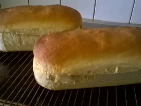 Rezept: Andy`s Weißbrot Andy`s Weißbrot - Rezept