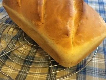 Rezept: Weissbrot Bild Nr. 5 Weissbrot - Rezept - Bild Nr. 5