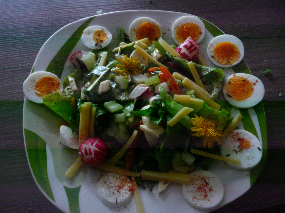 Löwenzahn, Rucola, Blutampfer, Kopfsalat - Rezept - Bild Nr. 70