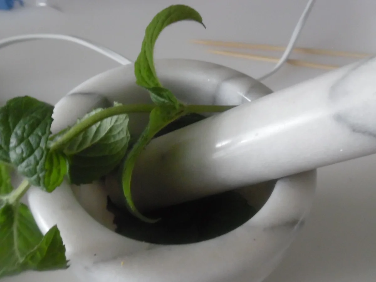 Kürbis-Orangen-Suppe mit Minzöl und Mozzarella-Spieß - Rezept - Bild Nr. 101