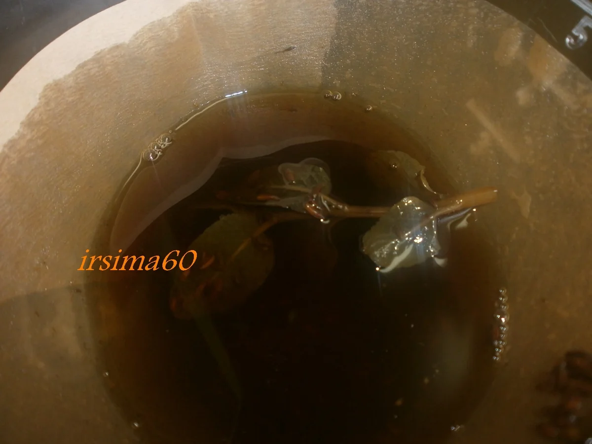  Kümmellikör - Rezept - Bild Nr. 76