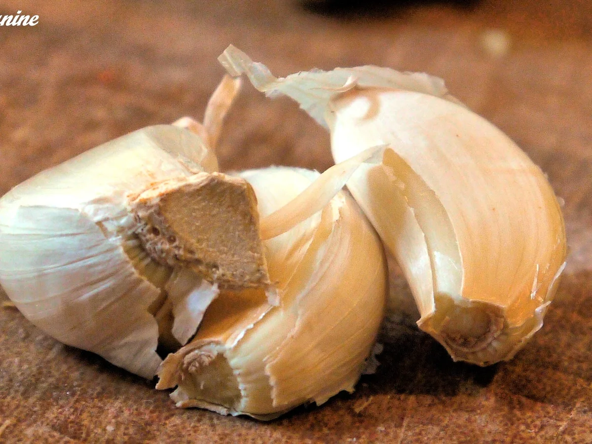 Rezept: Marinierte Hähnchenunterschlegel Bild Nr. 80 Marinierte Hähnchenunterschlegel - Rezept - Bild Nr. 80