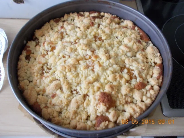 Streusel-Aprikosenkuchen - Rezept - Bild Nr. 79