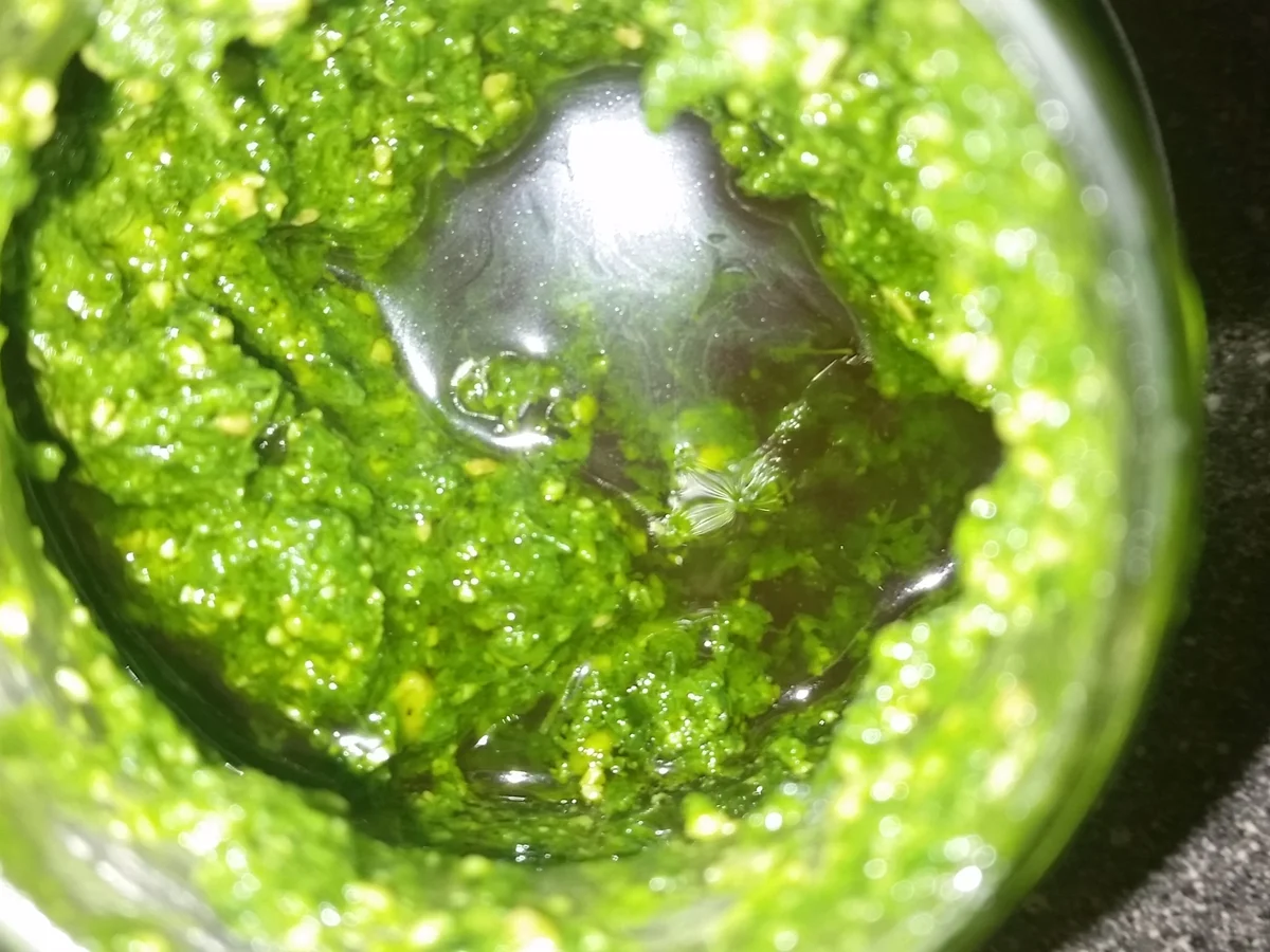 Rezept: Dips, Crems & Saucen: Quark mit Bärlauch und Meerettich Bild Nr. 63 Dips, Crems & Saucen: Quark mit Bärlauch und Meerettich - Rezept - Bild Nr. 63