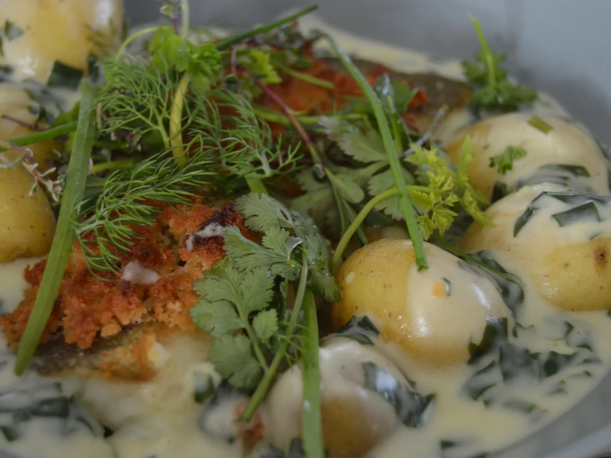 Rezept: Esbjergs forårs hilsner (Dorschfilet) Bild Nr. 73 Esbjergs forårs hilsner (Dorschfilet) - Rezept - Bild Nr. 73