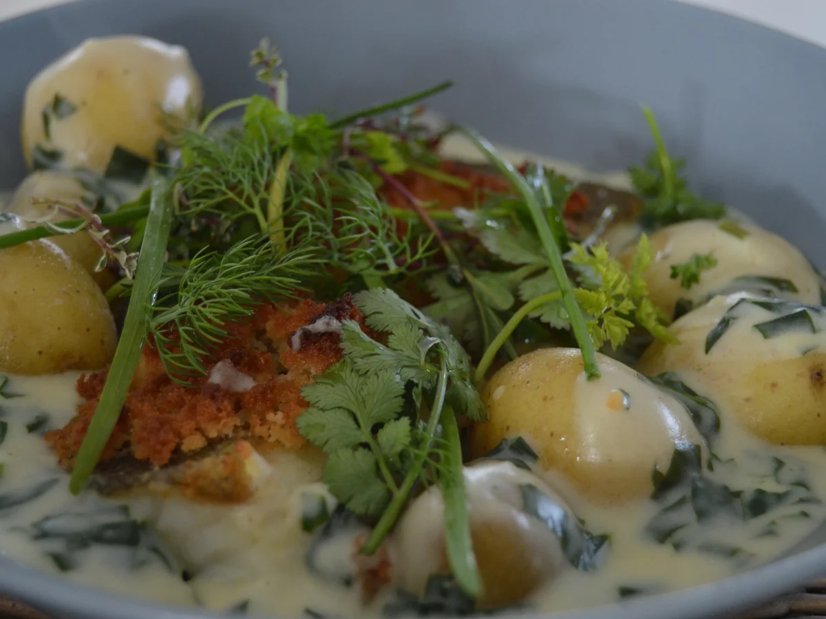 Rezept: Esbjergs forårs hilsner (Dorschfilet) Bild Nr. 74 Esbjergs forårs hilsner (Dorschfilet) - Rezept - Bild Nr. 74