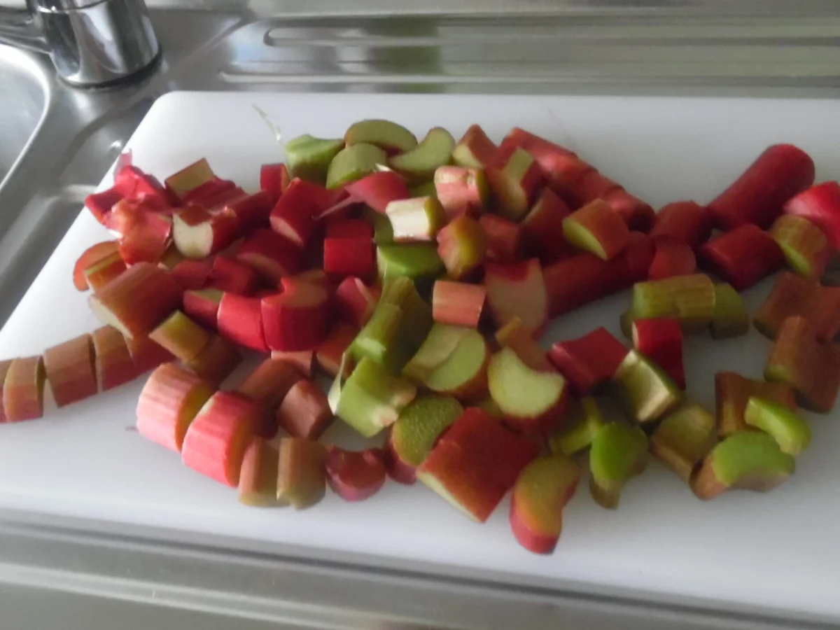 Rhabarber-Eis - Rezept - Bild Nr. 74