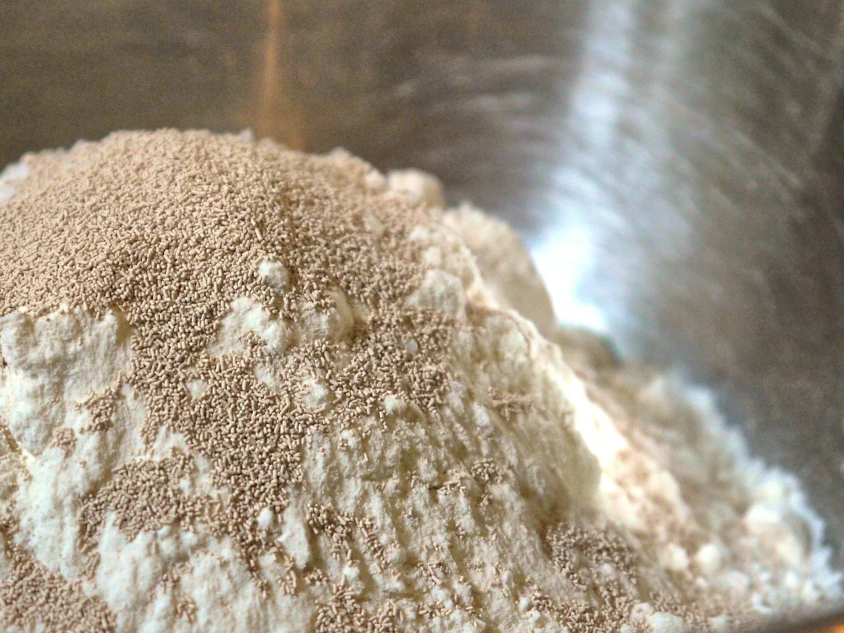 Focaccia-Brötchen - Rezept - Bild Nr. 77