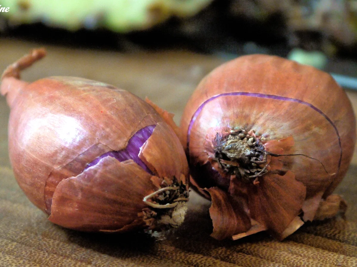 Malaysischer Salat - Rezept - Bild Nr. 78