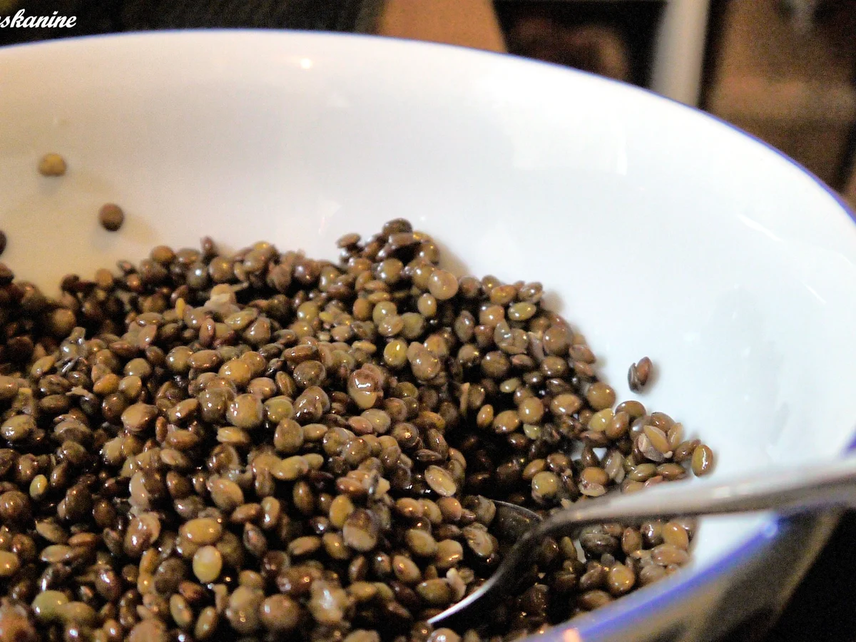 Linsen-Spargel-Salat - Rezept - Bild Nr. 95