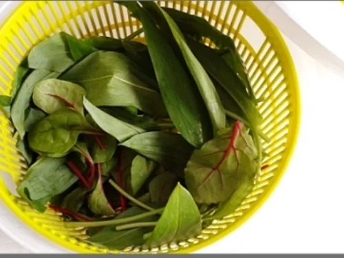 Rezept: Cremige Bärlauch -Mangold-Suppe Bild Nr. 101 Cremige Bärlauch -Mangold-Suppe - Rezept - Bild Nr. 101