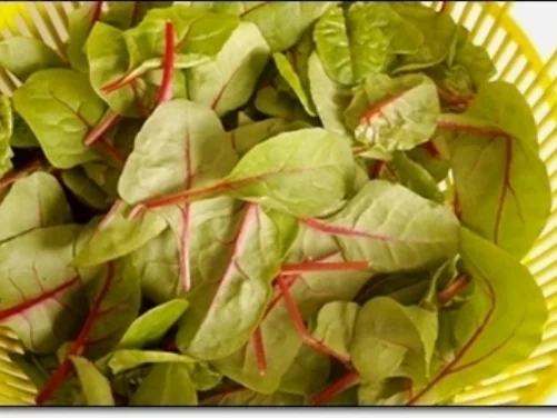 Kartoffel-Mangold  Frikadellen  an Mangold-Tomaten Salat - Rezept - Bild Nr. 101