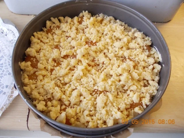 Streusel-Aprikosenkuchen - Rezept - Bild Nr. 43
