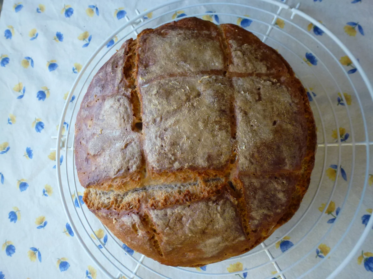 Rezept: Single-Brot Bild Nr. 67 Single-Brot - Rezept - Bild Nr. 67