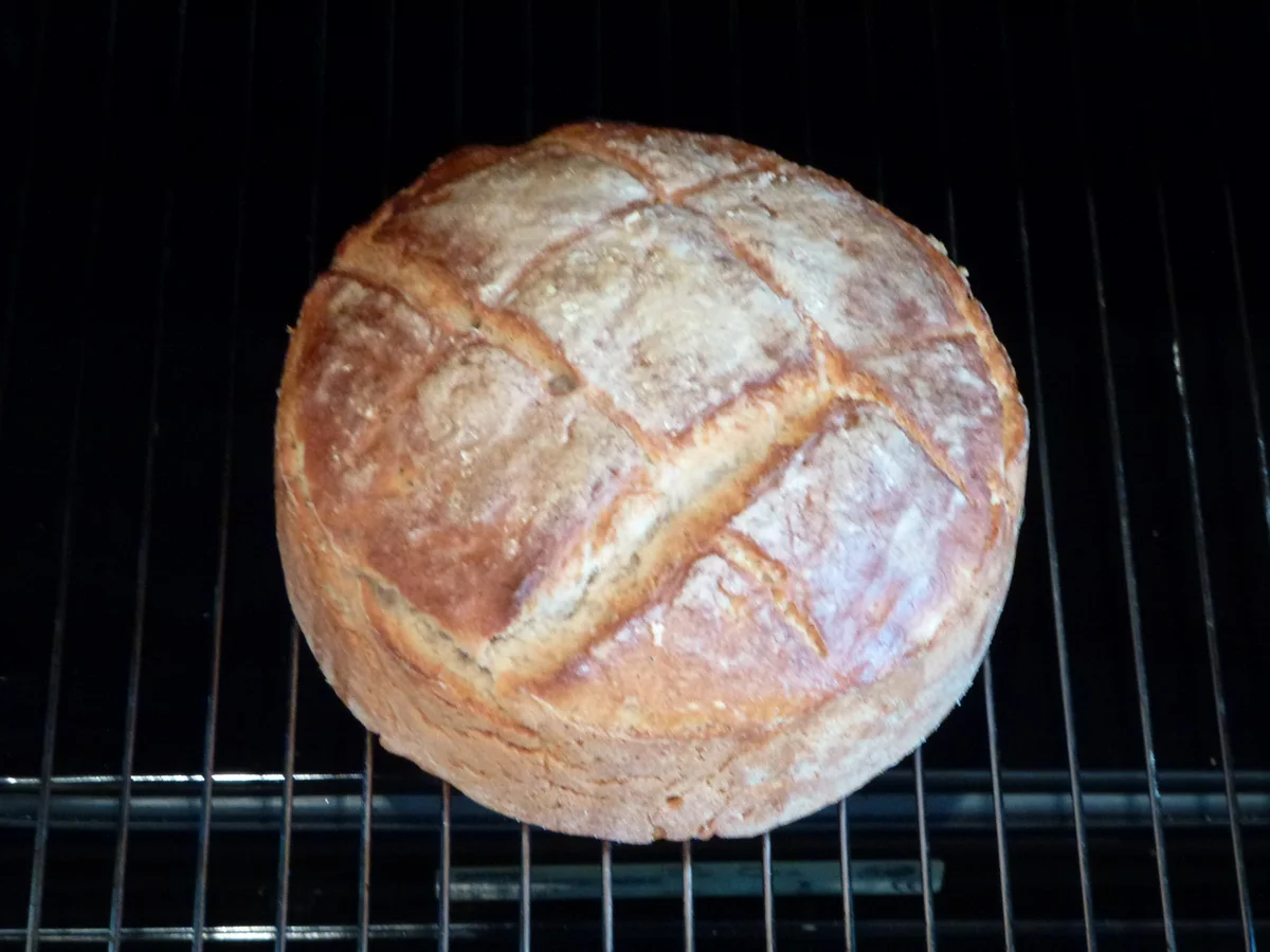 Rezept: Single-Brot Bild Nr. 71 Single-Brot - Rezept - Bild Nr. 71