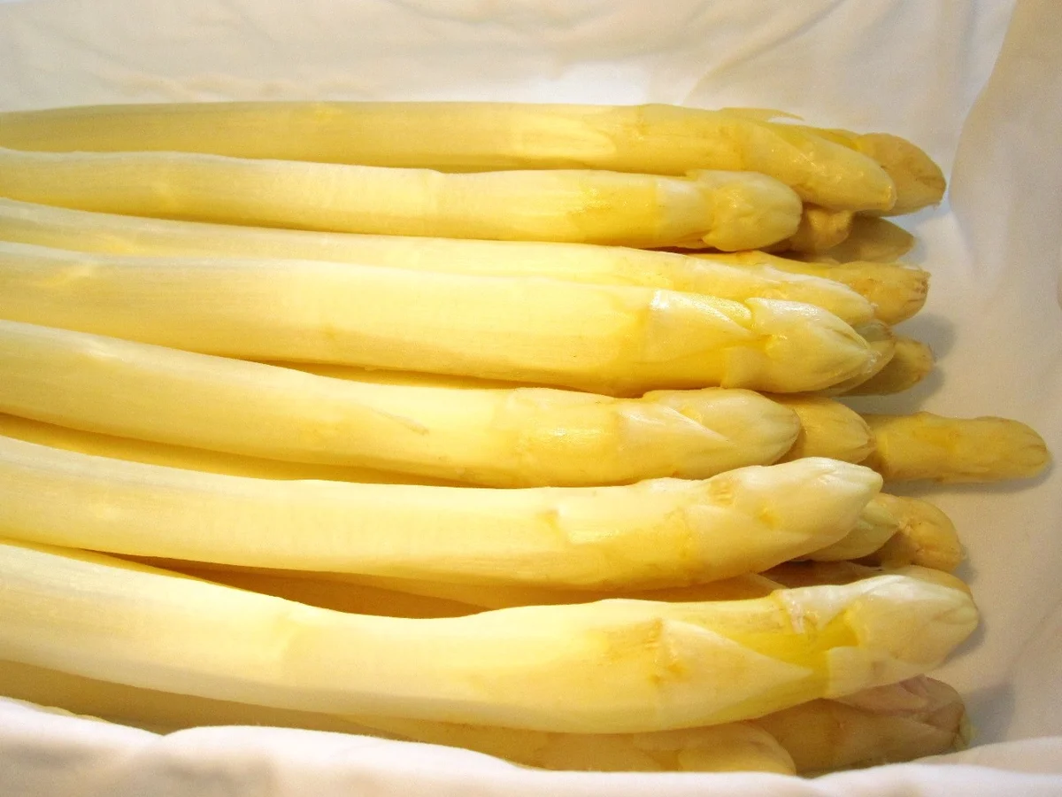 Rezept: Spargel - mein Lieblingsgemüse Bild Nr. 72 Spargel - mein Lieblingsgemüse - Rezept - Bild Nr. 72