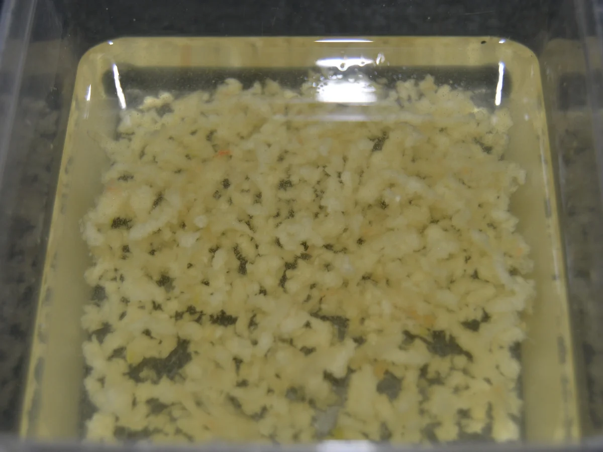 Grundrezept Pizzateig und Pizzasoße - Rezept - Bild Nr. 35