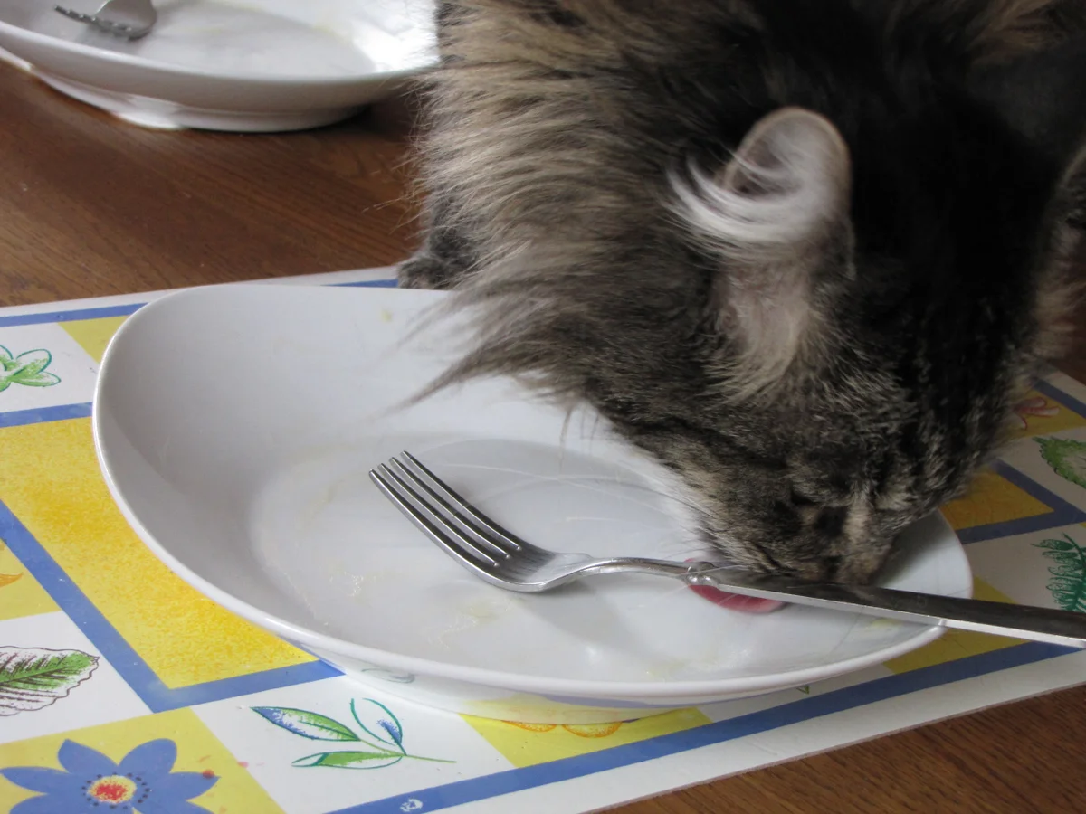 Spargel-Ragout - Rezept - Bild Nr. 38