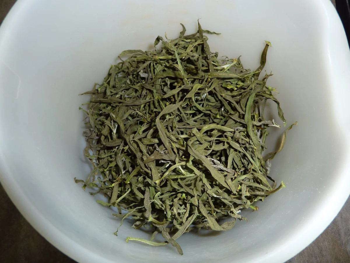 Rezept: Vorrat: Estragon getrocknet Bild Nr. 30 Vorrat: Estragon getrocknet - Rezept - Bild Nr. 30