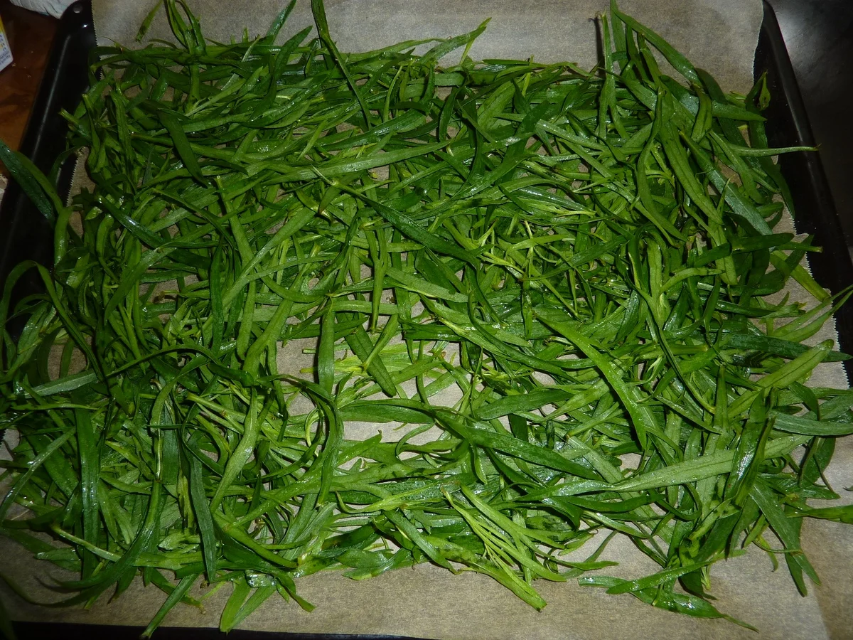 Rezept: Vorrat: Estragon getrocknet Bild Nr. 32 Vorrat: Estragon getrocknet - Rezept - Bild Nr. 32