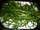 Vorrat: Estragon getrocknet - Rezept - Bild Nr. 33