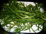 Vorrat: Estragon getrocknet - Rezept - Bild Nr. 33