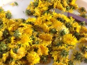 Löwenzahnlikör - Rezept - Bild Nr. 13