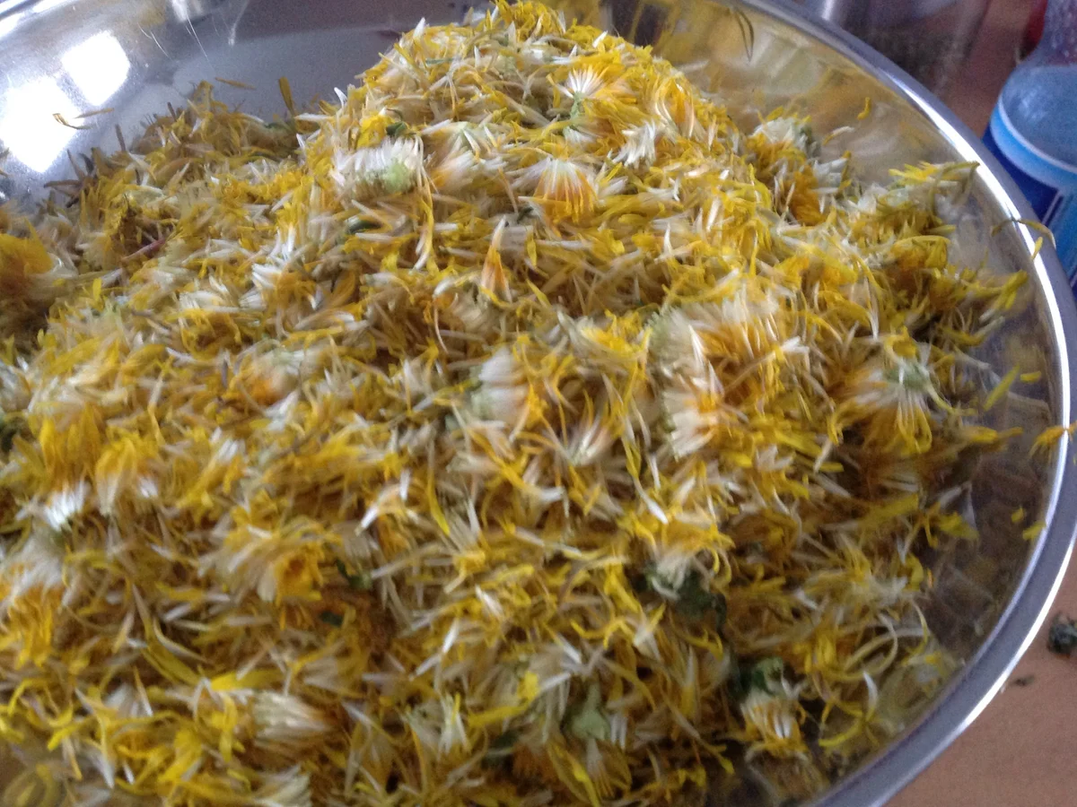 Löwenzahnlikör - Rezept - Bild Nr. 15