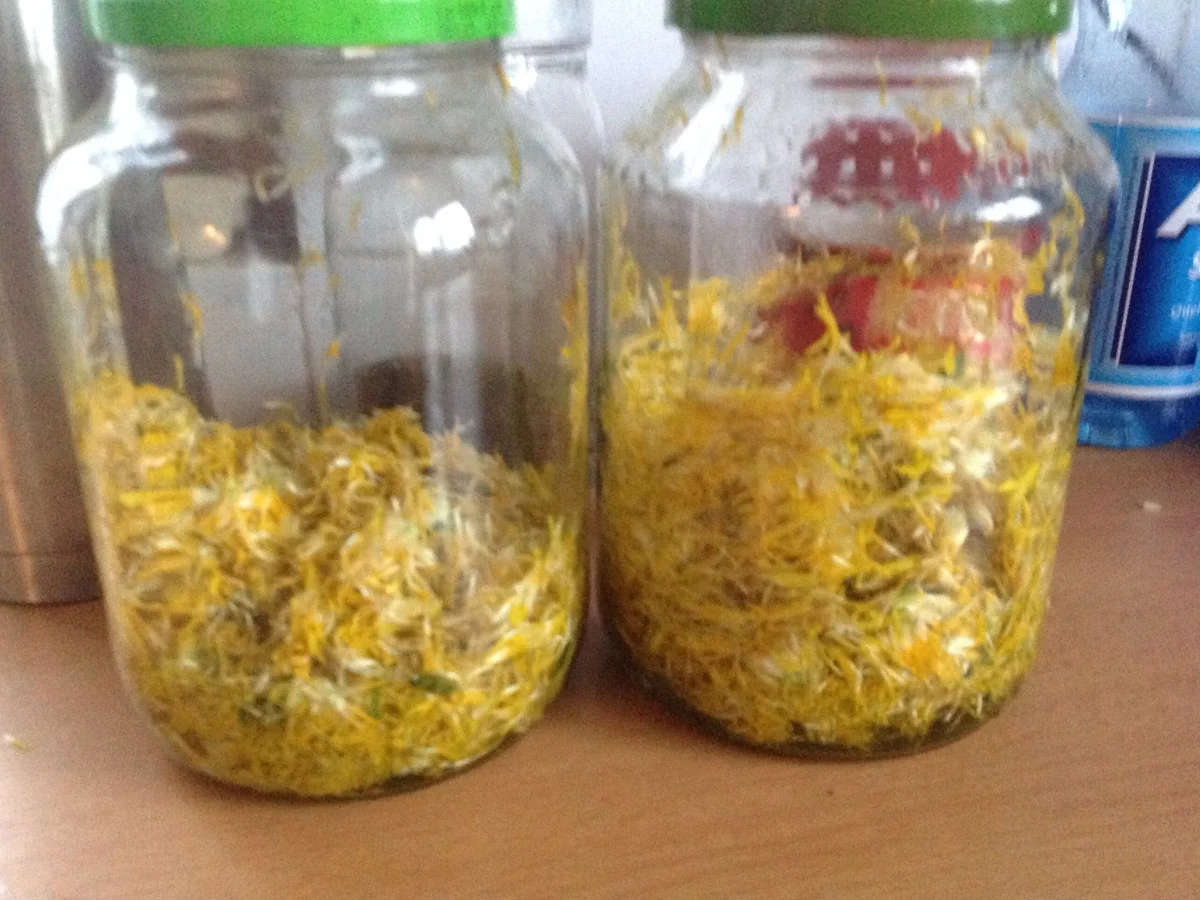 Löwenzahnlikör - Rezept - Bild Nr. 16