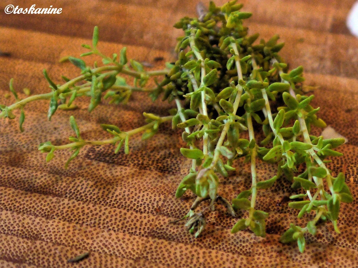 Chorizo-Kichererbsen-Topf - Rezept - Bild Nr. 17