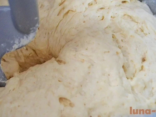 Rezept: FOCACCIA DI BARI Bild Nr. 25 FOCACCIA DI BARI - Rezept - Bild Nr. 25