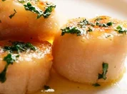 Jakobsmuscheln Sous Vide - mit Anis und Fenchel - Rezept - Bild Nr. 23