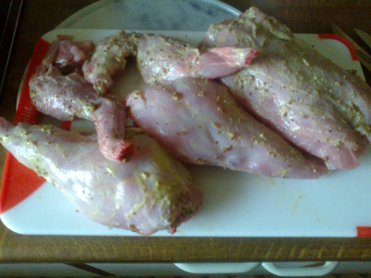 Rezept: Kaninchenragout Bild Nr. 25 Kaninchenragout - Rezept - Bild Nr. 25