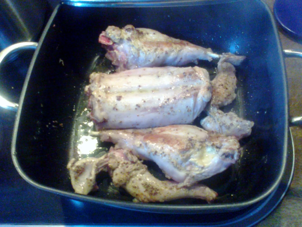 Rezept: Kaninchenragout Bild Nr. 26 Kaninchenragout - Rezept - Bild Nr. 26