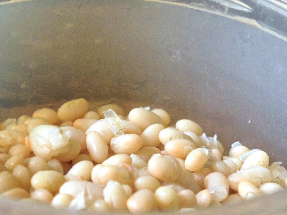 Salat aus weißen Bohnen - Rezept - Bild Nr. 40