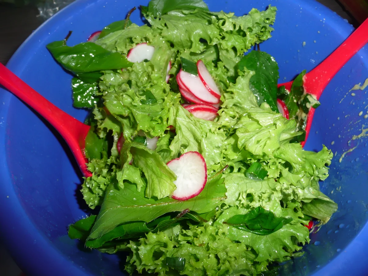 XXL Spieße + Lollo Bianco + Buchenblätter - Rezept - Bild Nr. 26