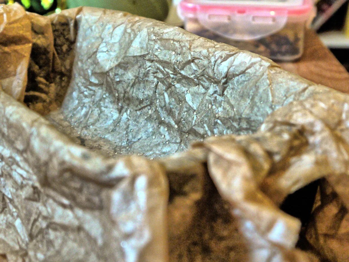 Rezept: Schnelles Ricotta-Brot Bild Nr. 33 Schnelles Ricotta-Brot - Rezept - Bild Nr. 33