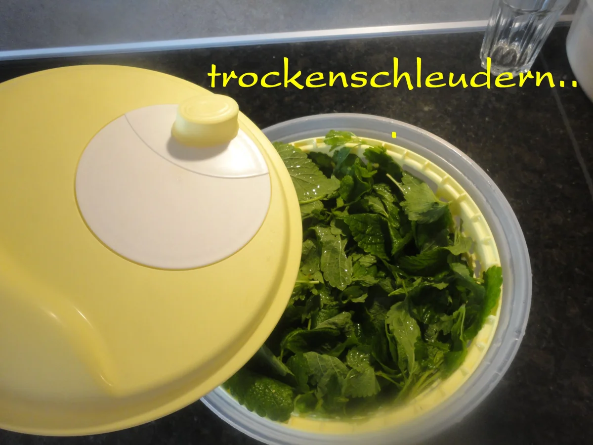 Zitronenmelissen Sirup - heiß angesetzt - Rezept - Bild Nr. 18