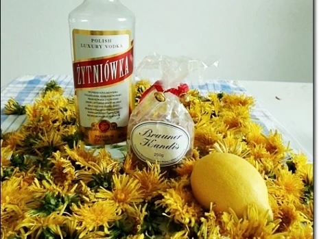 Rezept: Löwenzahnblüten – Likör Bild Nr. 18 Löwenzahnblüten – Likör - Rezept - Bild Nr. 18