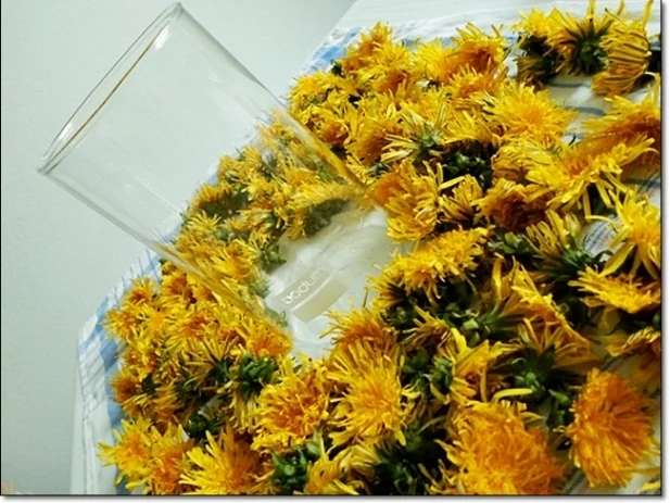 Rezept: Löwenzahnblüten – Likör Bild Nr. 21 Löwenzahnblüten – Likör - Rezept - Bild Nr. 21