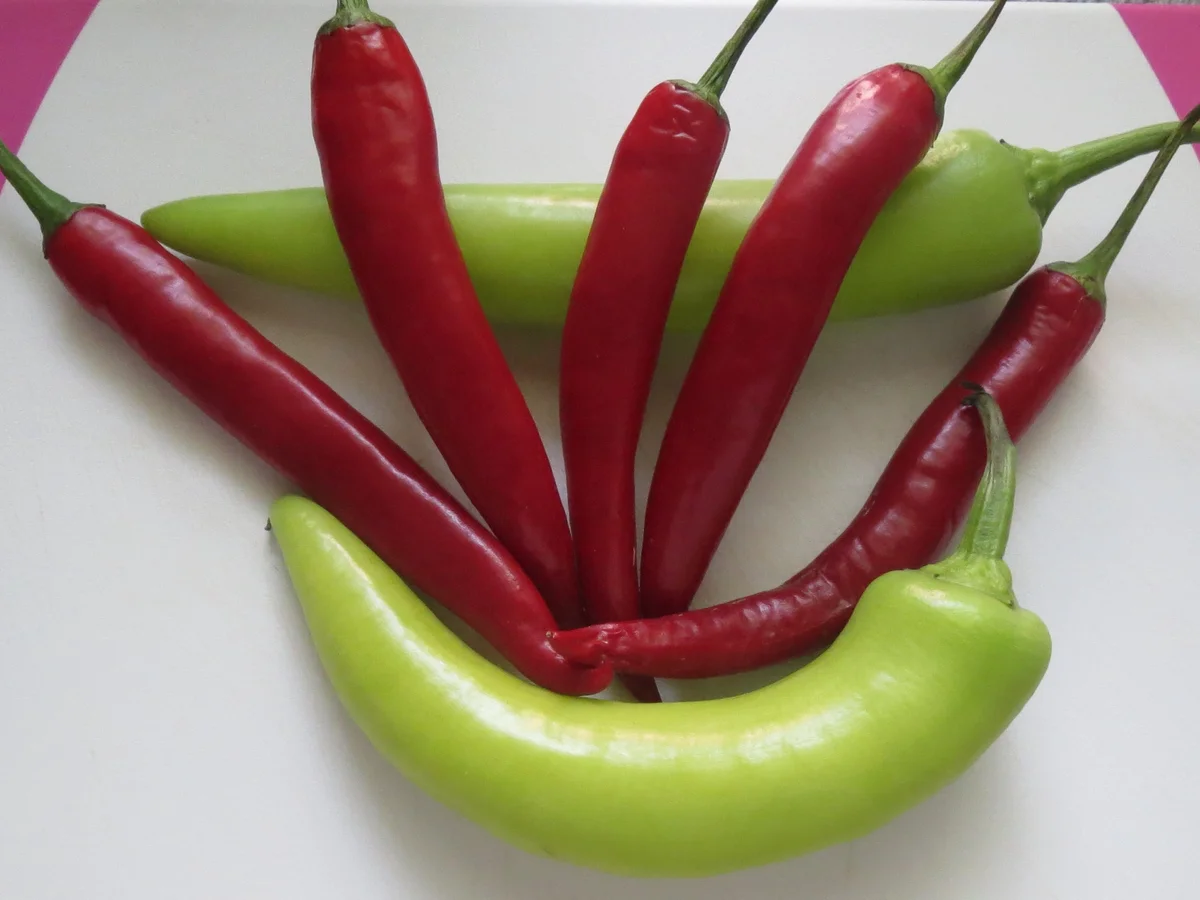 Rezept: Kochen: Hackfleischbällchen in Gemüsesauce Bild Nr. 16 Kochen: Hackfleischbällchen in Gemüsesauce - Rezept - Bild Nr. 16