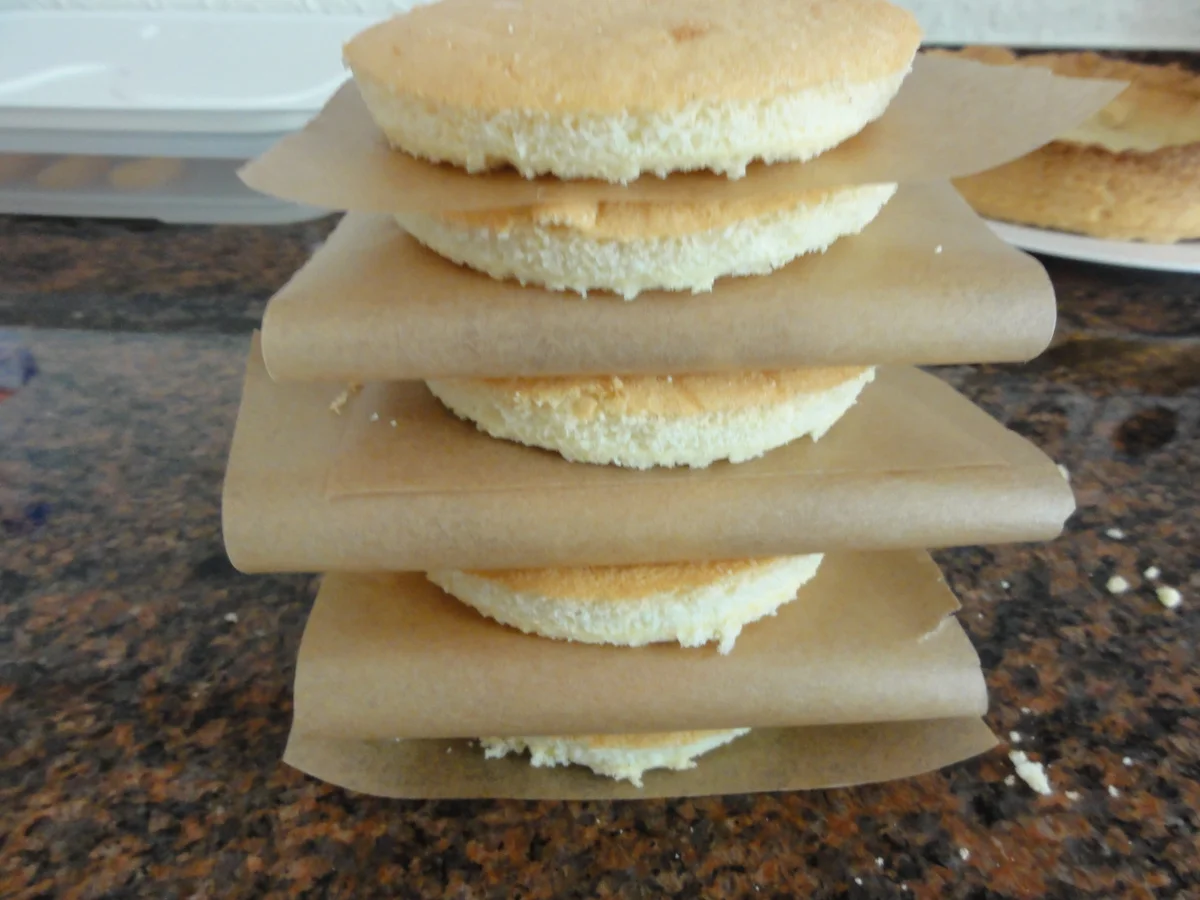 Rezept: Biskuit: BODEN und DECKEL für kalte Kuchen 26ø Springform Bild Nr. 7 Biskuit: BODEN und DECKEL für kalte Kuchen 26ø Springform - Rezept - Bild Nr. 7