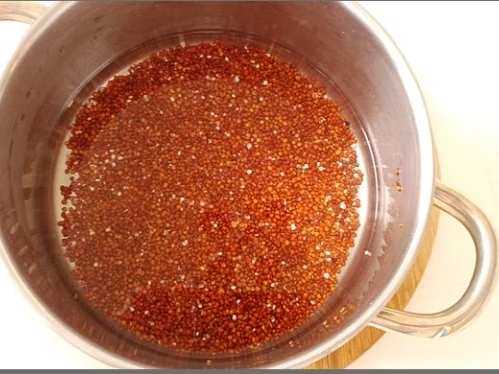 Fruchtiger Quinoa Salat nappiert mit süß-sauer Dressing - Rezept - Bild Nr. 24