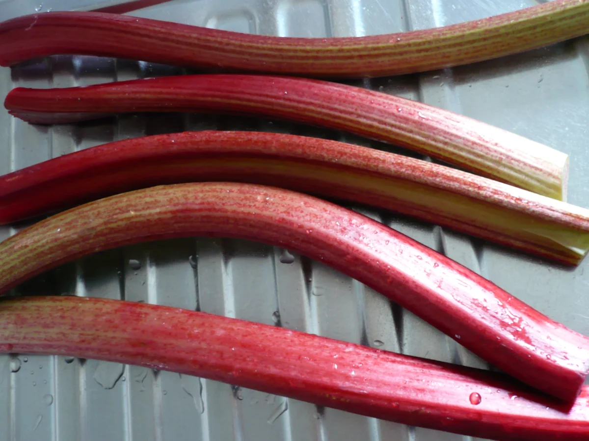 Rhabarberkuchen mit Vanille - Schmand - Guss - Rezept - Bild Nr. 22