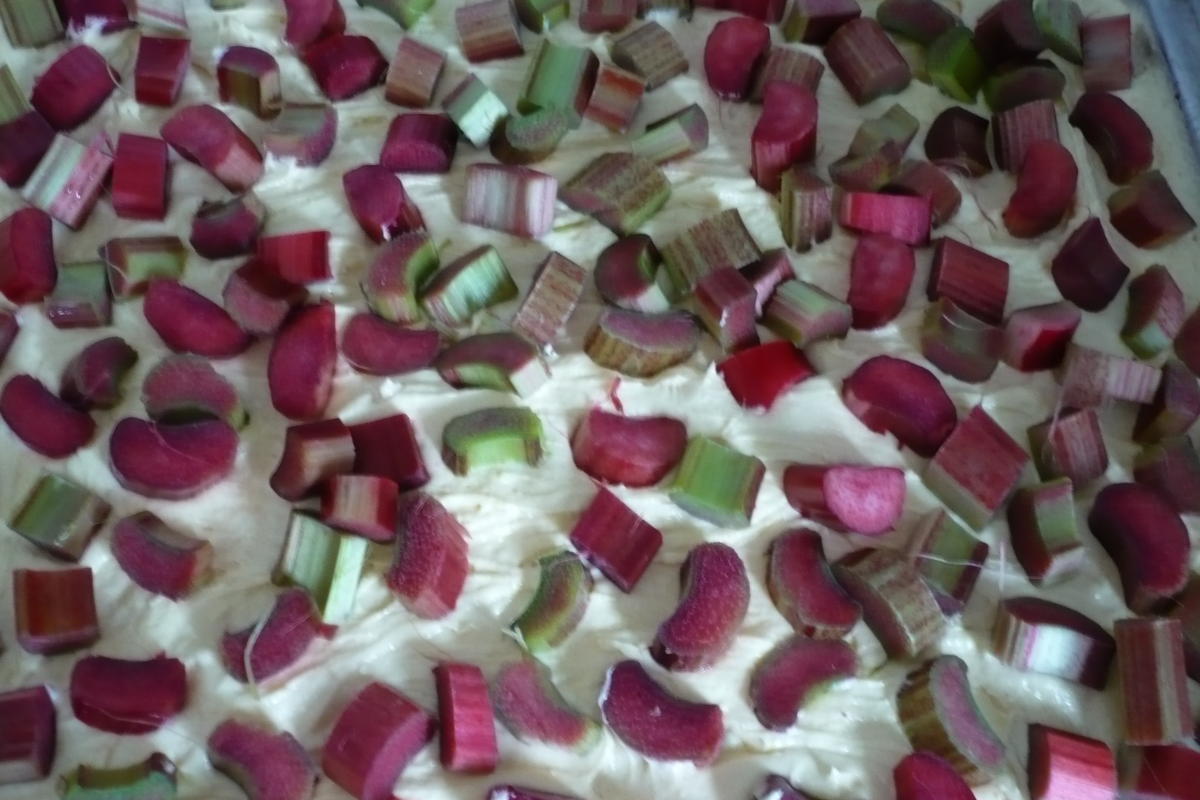 Rhabarberkuchen mit Vanille - Schmand - Guss - Rezept - Bild Nr. 25