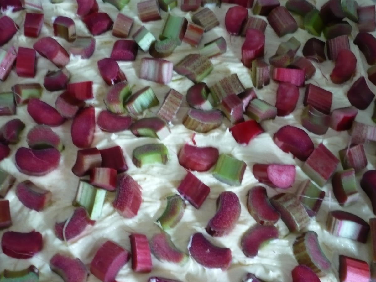 Rhabarberkuchen mit Vanille Schmand Guss - einfach - von rollimops