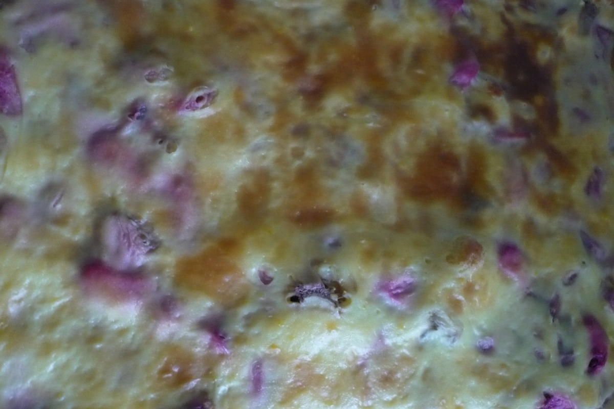 Rhabarberkuchen mit Vanille - Schmand - Guss - Rezept - Bild Nr. 28