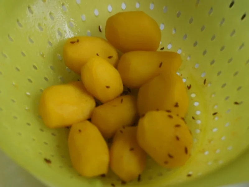 Rezept: Regenbogenforelle mit grünen Bohnen und Curry-Kartoffeln Bild Nr. 65 Regenbogenforelle mit grünen Bohnen und Curry-Kartoffeln - Rezept - Bild Nr. 65