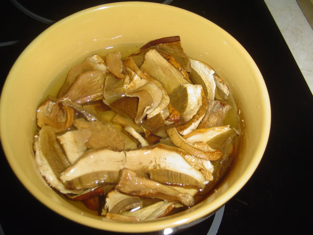 Puteninnenfilet in Schwammerlsauce - Rezept - Bild Nr. 70